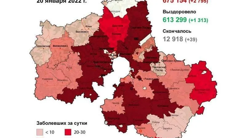 Балашиха, Королев, Люберцы. Худших по «короне» выявили в Подмосковье