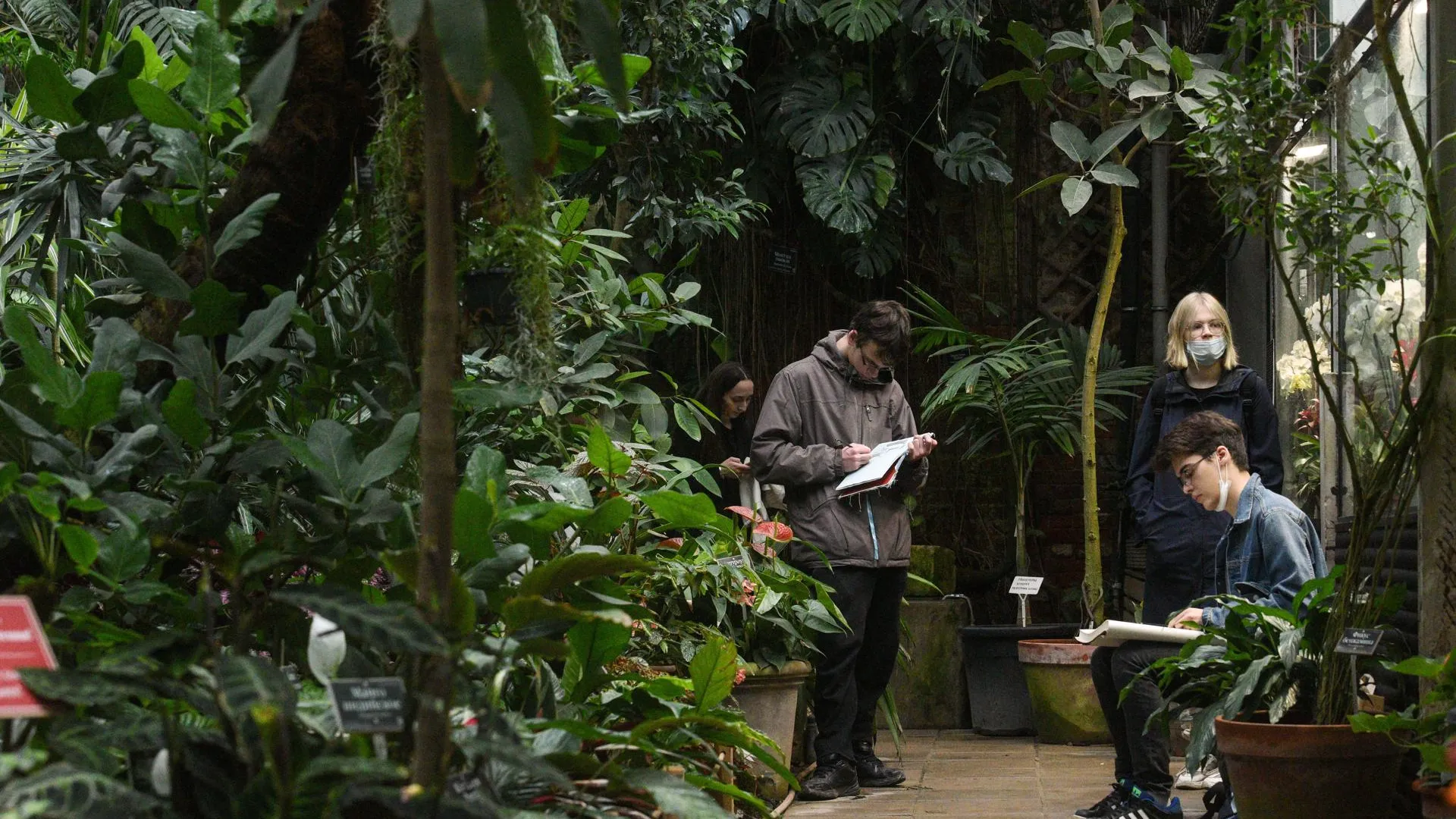 медиасток.рф