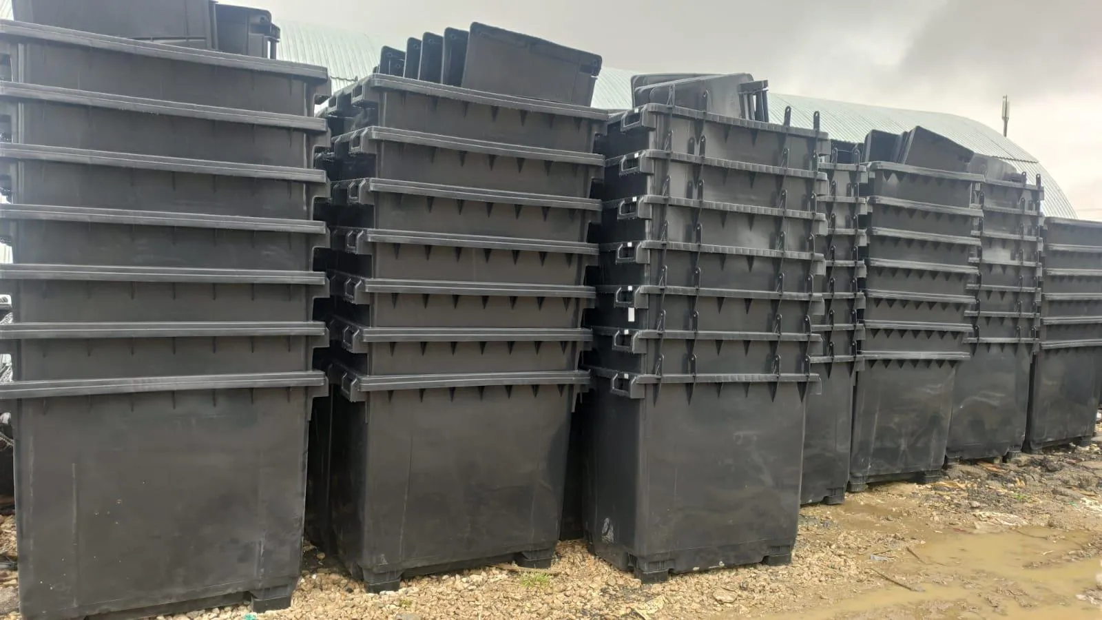 Фото: МСК-НТ