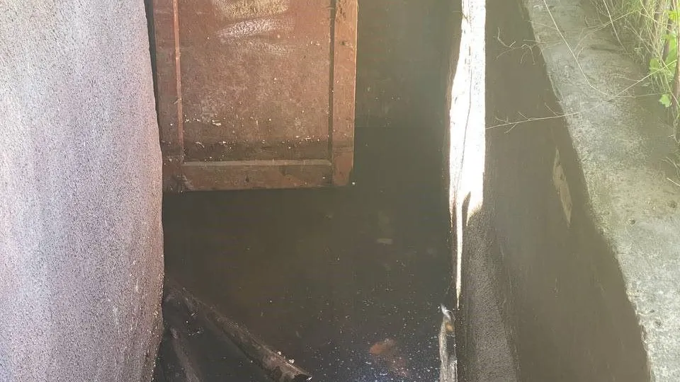 Фото: t.me/lopasnyaRU