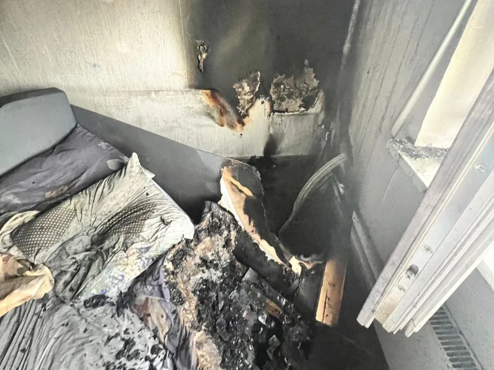 Фото: t.me/mosoblproc