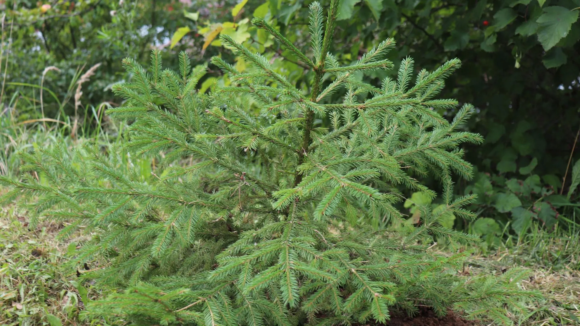 Фото: Татьяна Мироевская