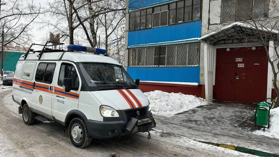 Фото: ГКУ МО «Мособлпожспас»