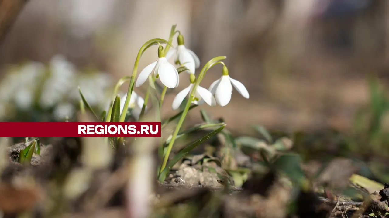 Фото: REGIONS/Дмитрий Зайчиков