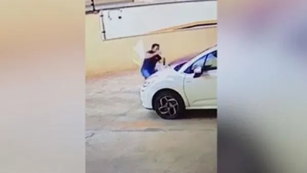 В Бразилии на проходящего мимо мужчину упала собака с девятого этажа
