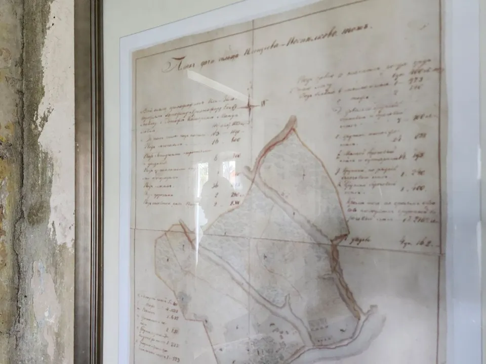 Фото: Мария Андрюхина