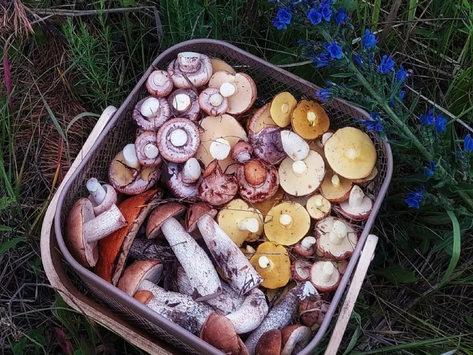 Фото: Василий Потапов