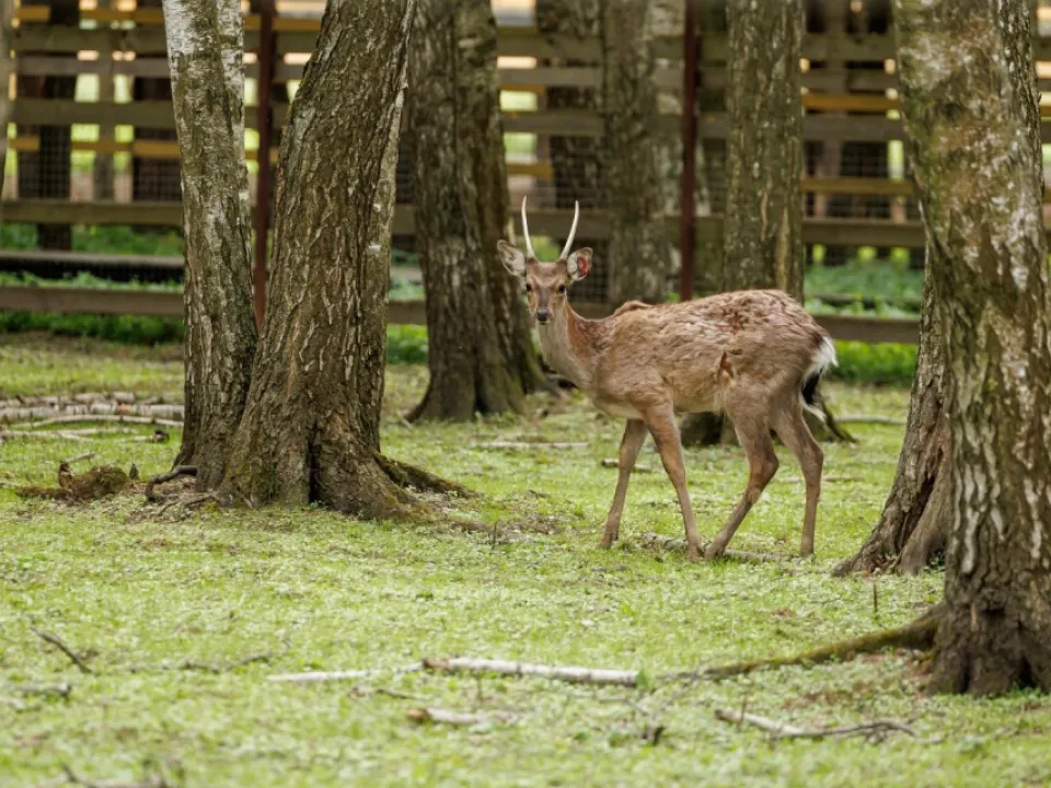 Фото: Константин Елисеев