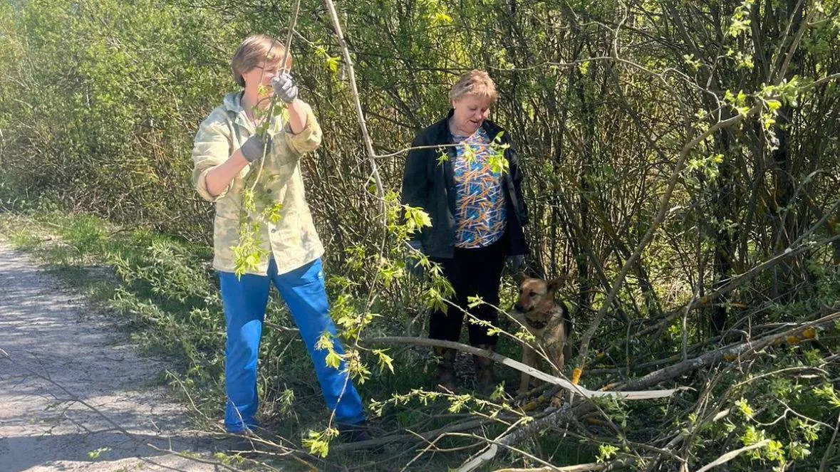 Фото: t.me/dmitriyvikulov