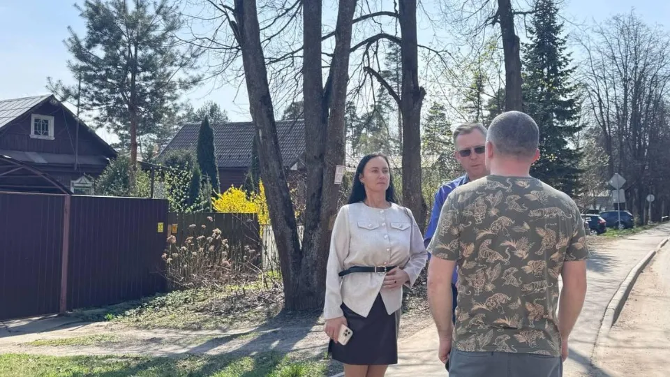 Фото: пушкинское отделение партии «Единая Россия»