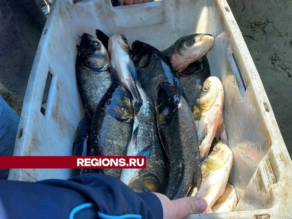 Фото: REGIONS/Олег Книжник