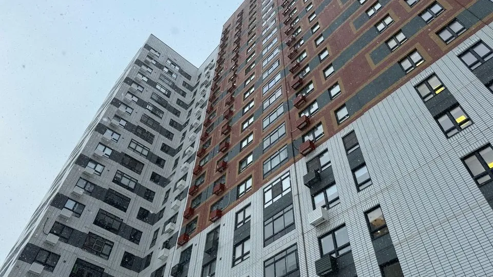 Фото: Медиа Банк Подмосковья/Полина Абраменко