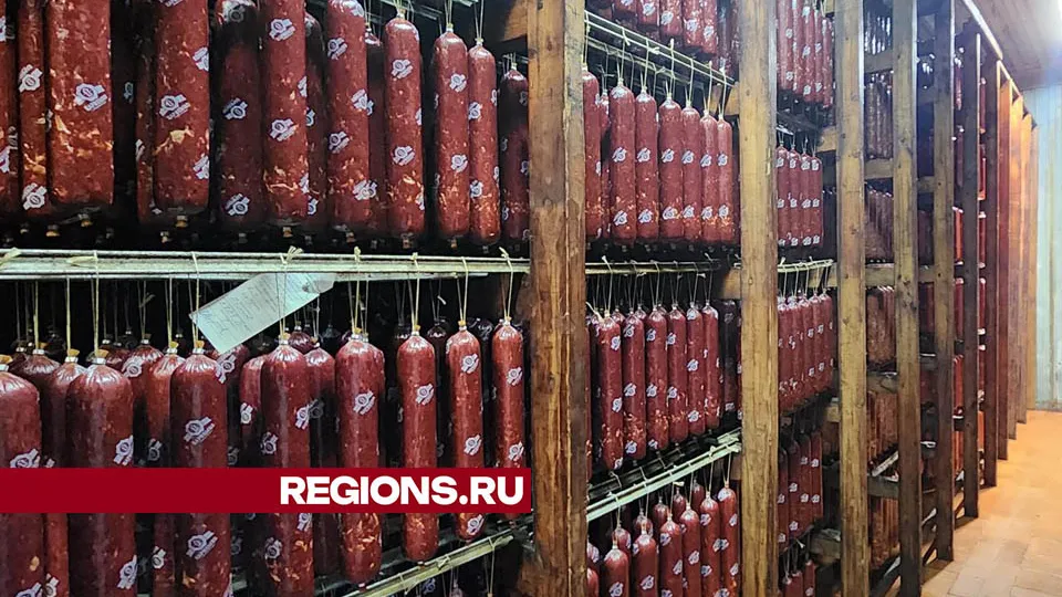 Фото: Медиабанк Подмосковья