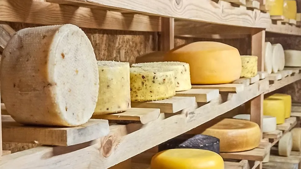 Фото: REGIONS/Эльвира Сафина