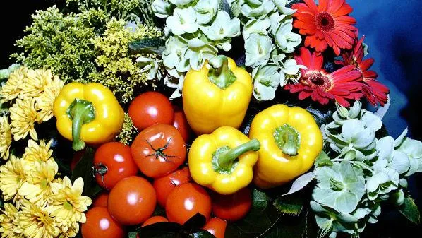 В московский регион поступило с нарушениями более 50 тонн продукции