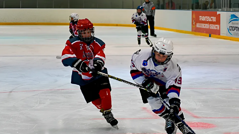 Фото: Зарайский ледовый спортивный комплекс