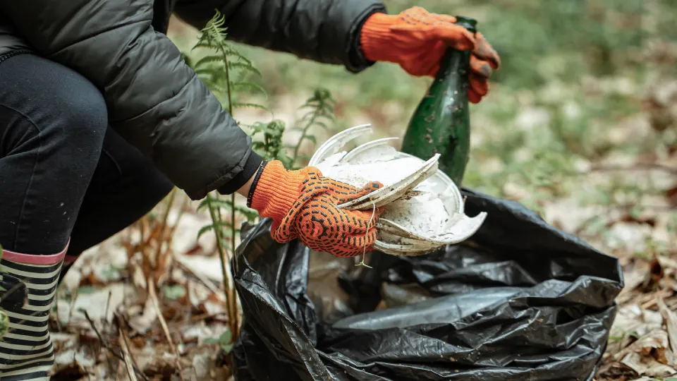 Фото: freepik.com