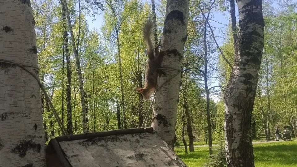 Фото: Юлия Павлова