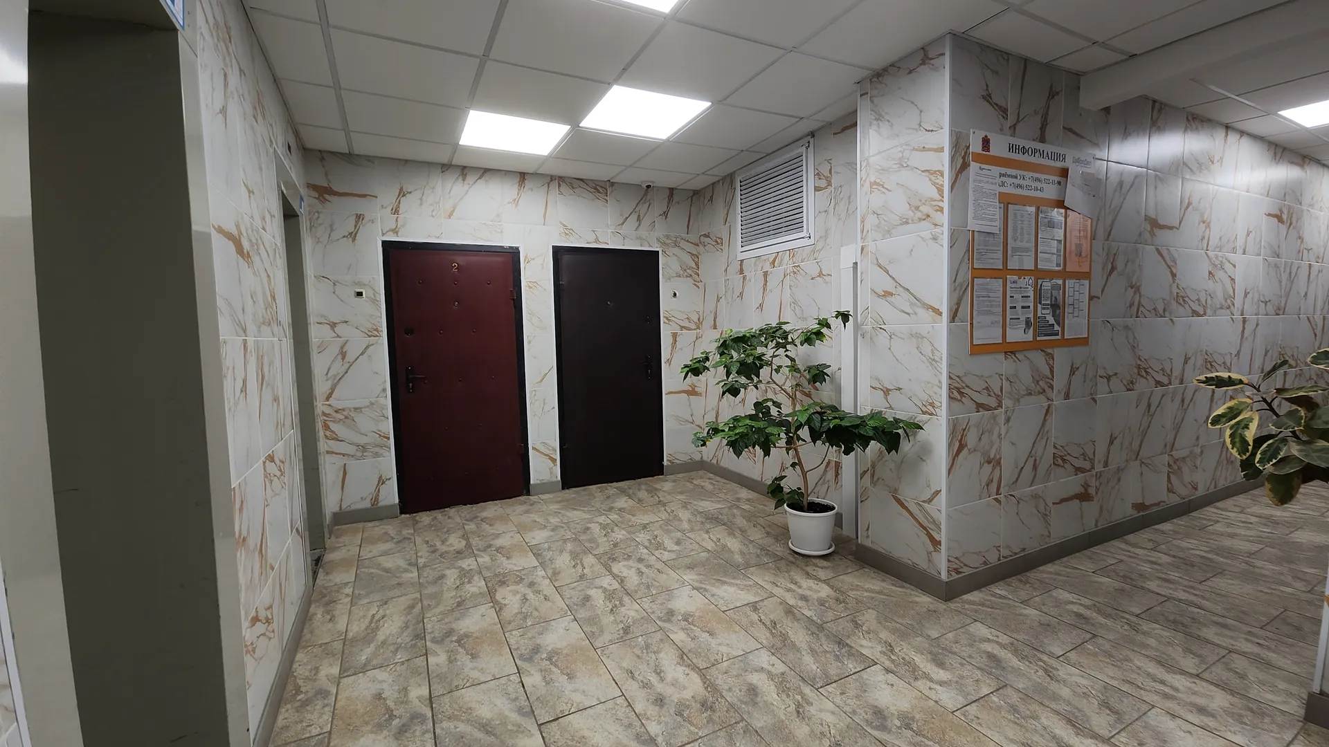 Фото: МедиаБанк Подмосковья/Иван Петрушин