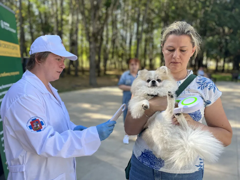 Фото: МедиаБанк Подмосковья/Анна Тюрюмина