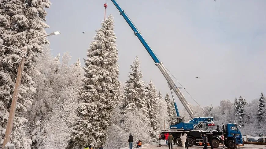 РИАМО (Щелково)