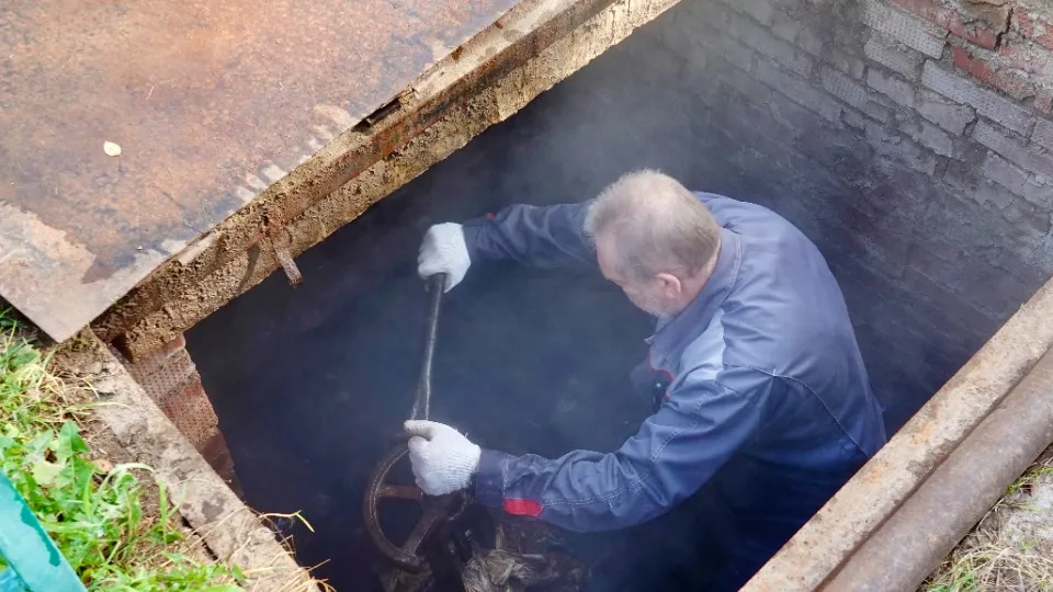 Фото: МедиаБанк Подмосковья/Дарья Леонова