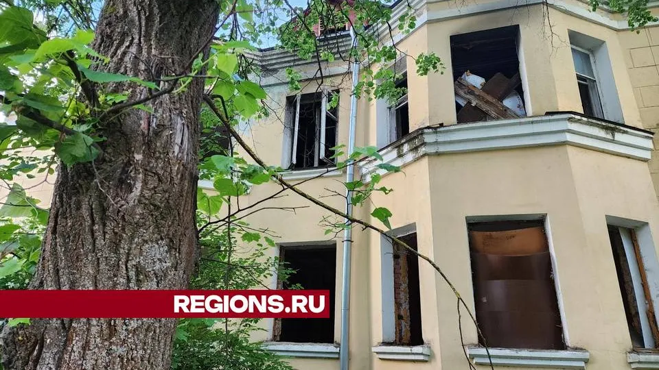 Фото: Мария Андрюхина