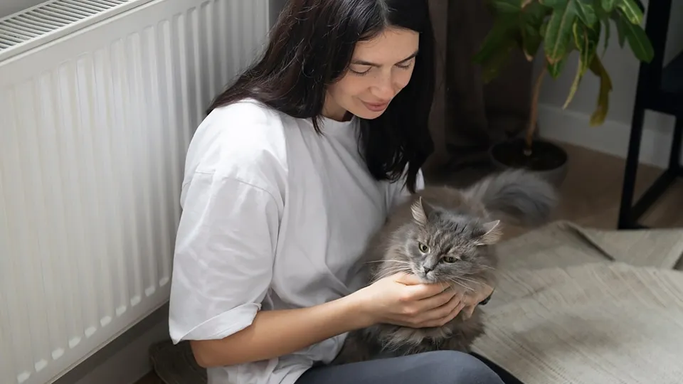 Фото: freepik.com