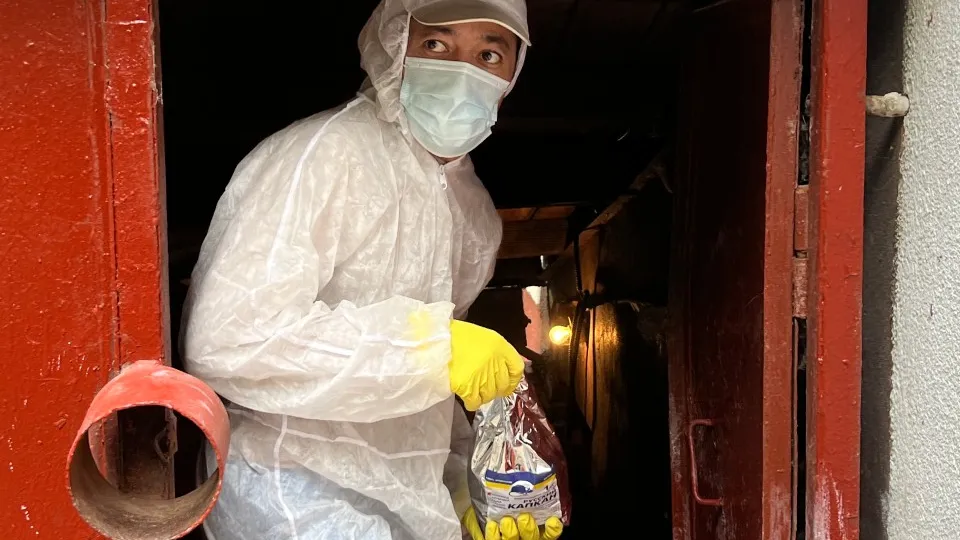 Фото: МедиаБанк Подмосковья/Валерия Ерофеева