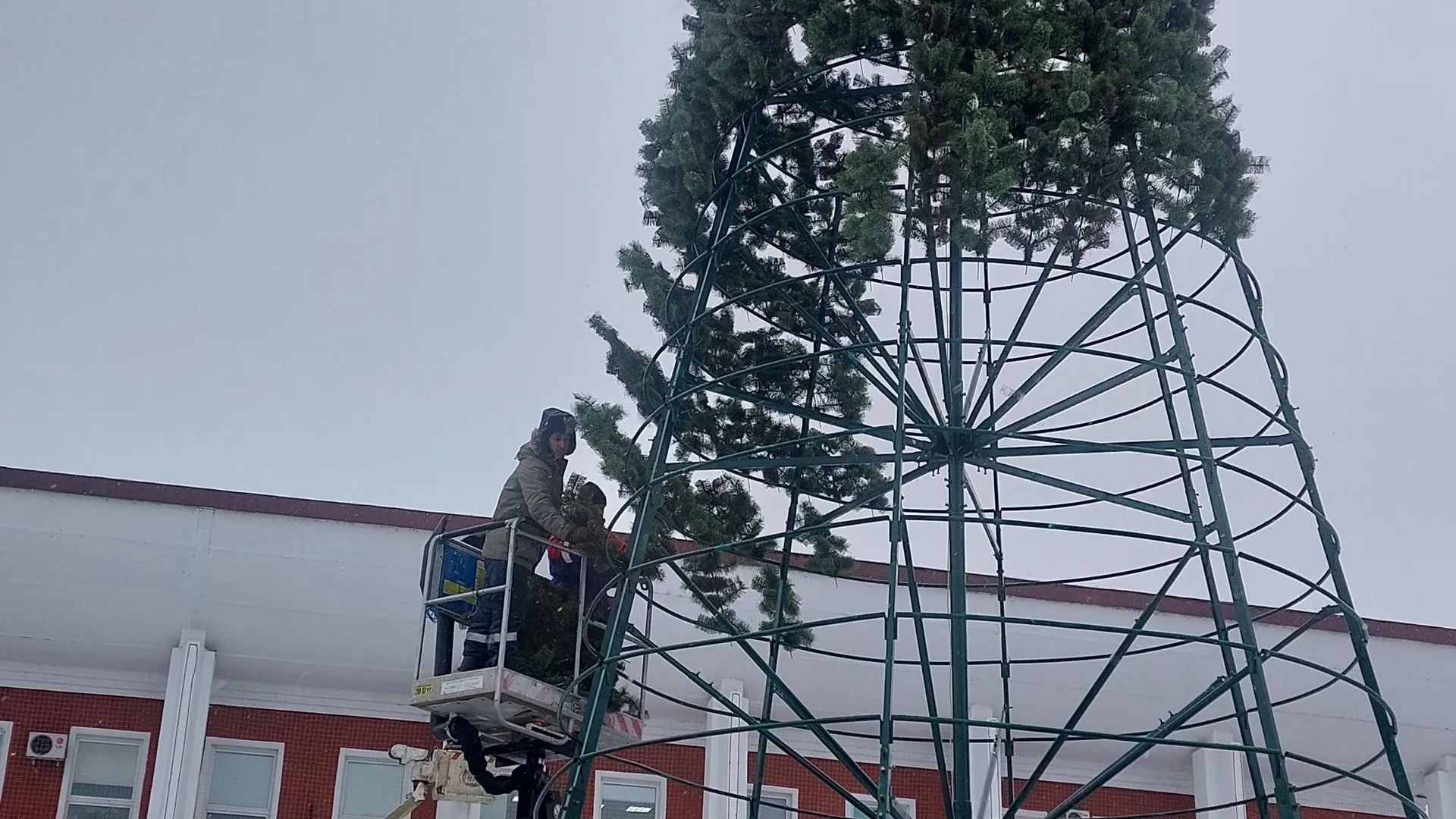 Татьяна Афанасьева