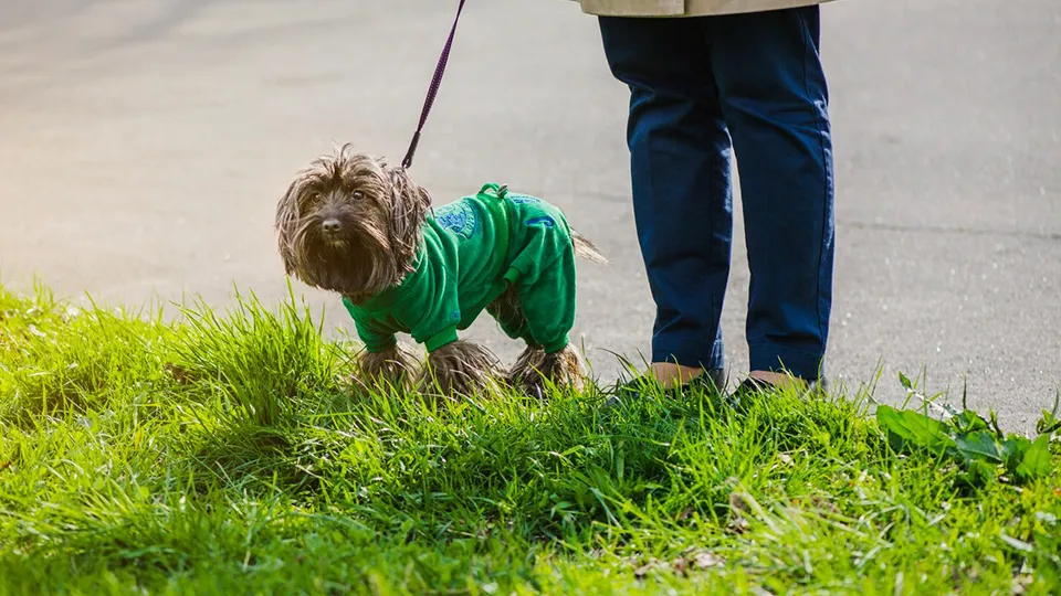 Фото: freepik.com