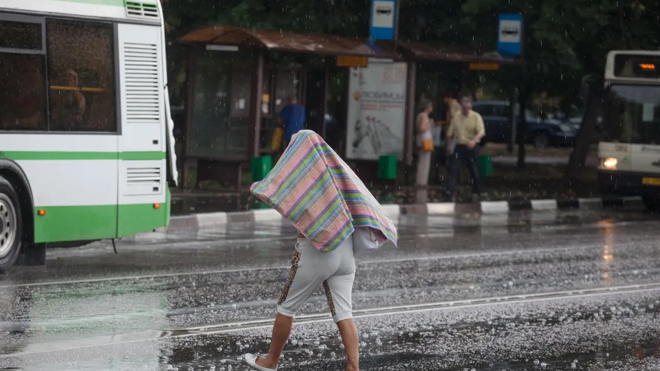 Фото: медиасток.рф