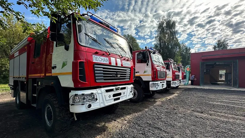Фото: Комитет лесного хозяйства Московской области