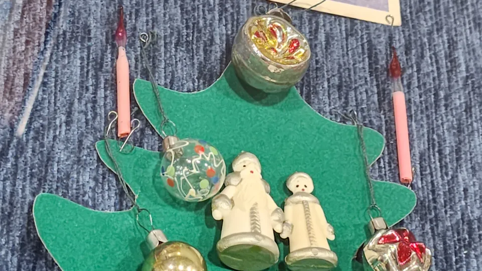 Фото: МедиаБанк Подмосковья/Мария Андрюхина