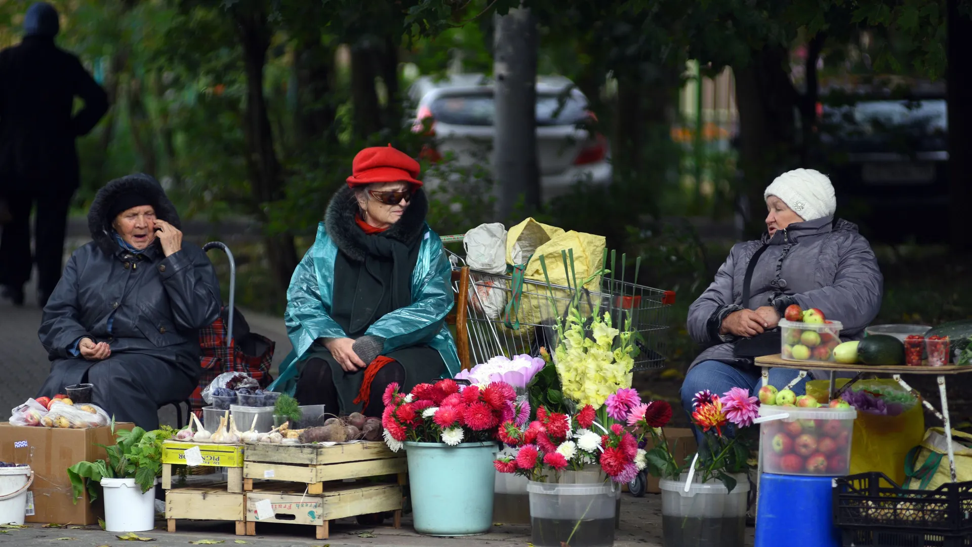 Фото: Медиаархив Подмосковья