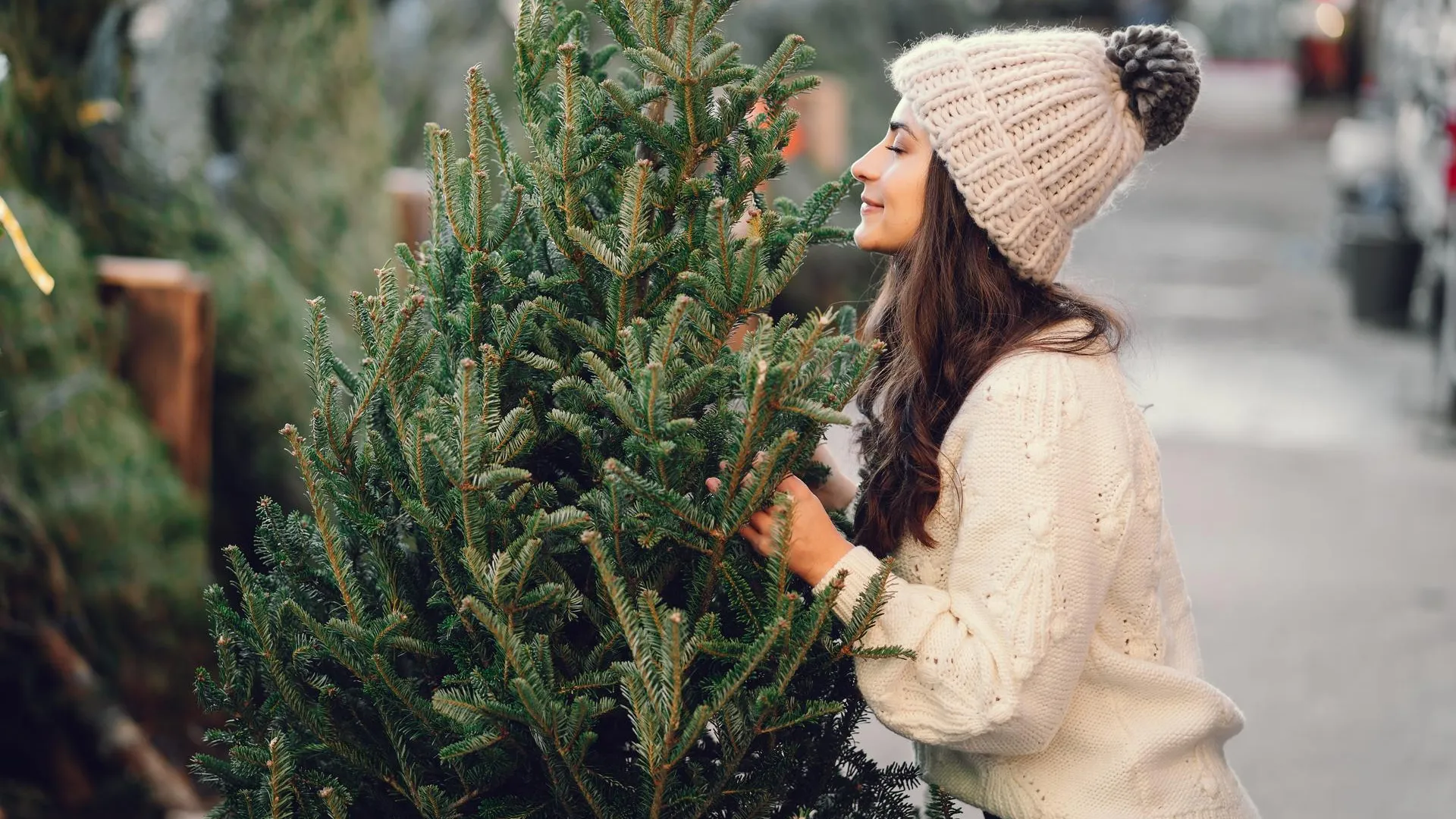 Источник: Freepik