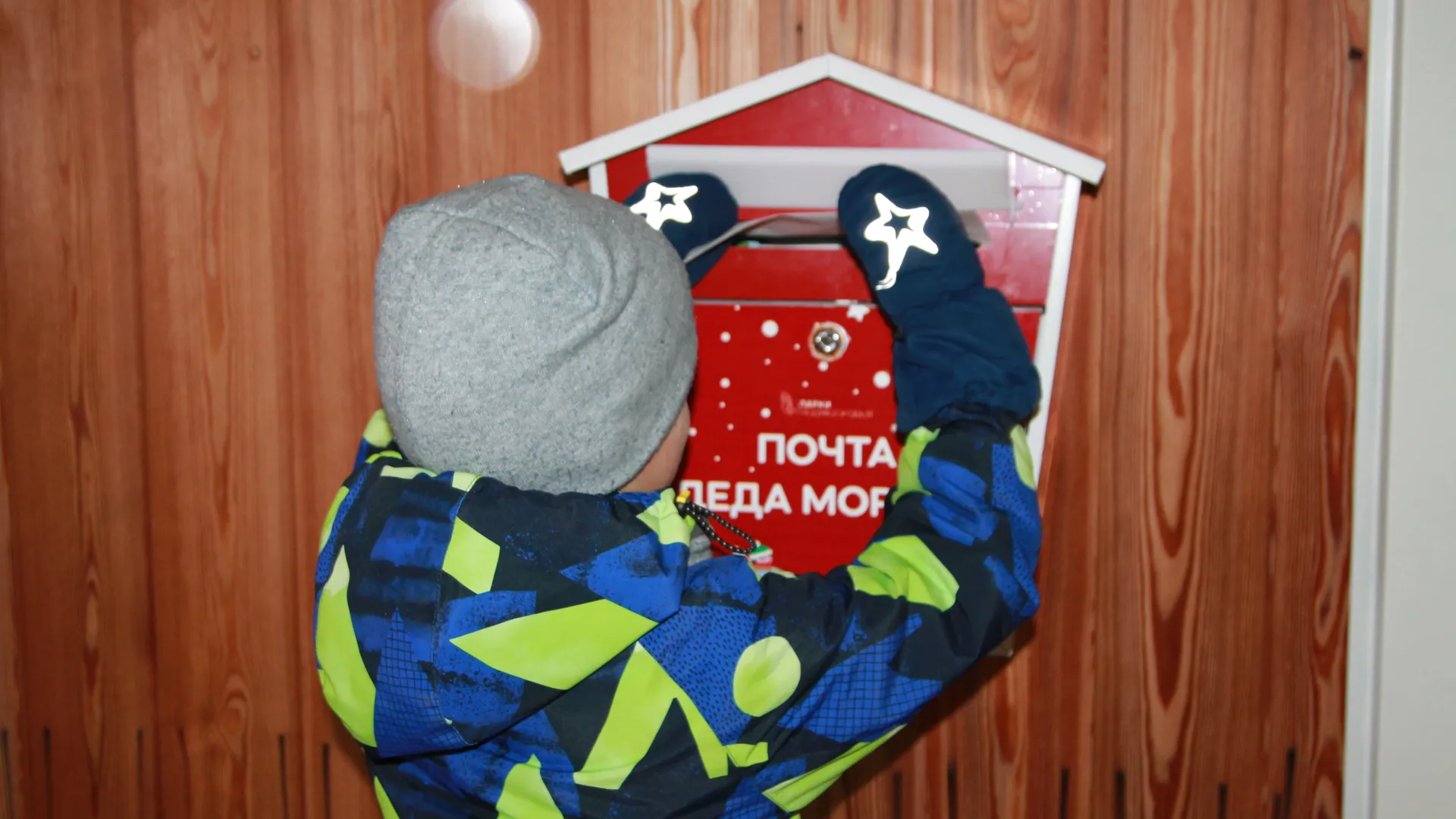 Фото: Наталья Дорофеева