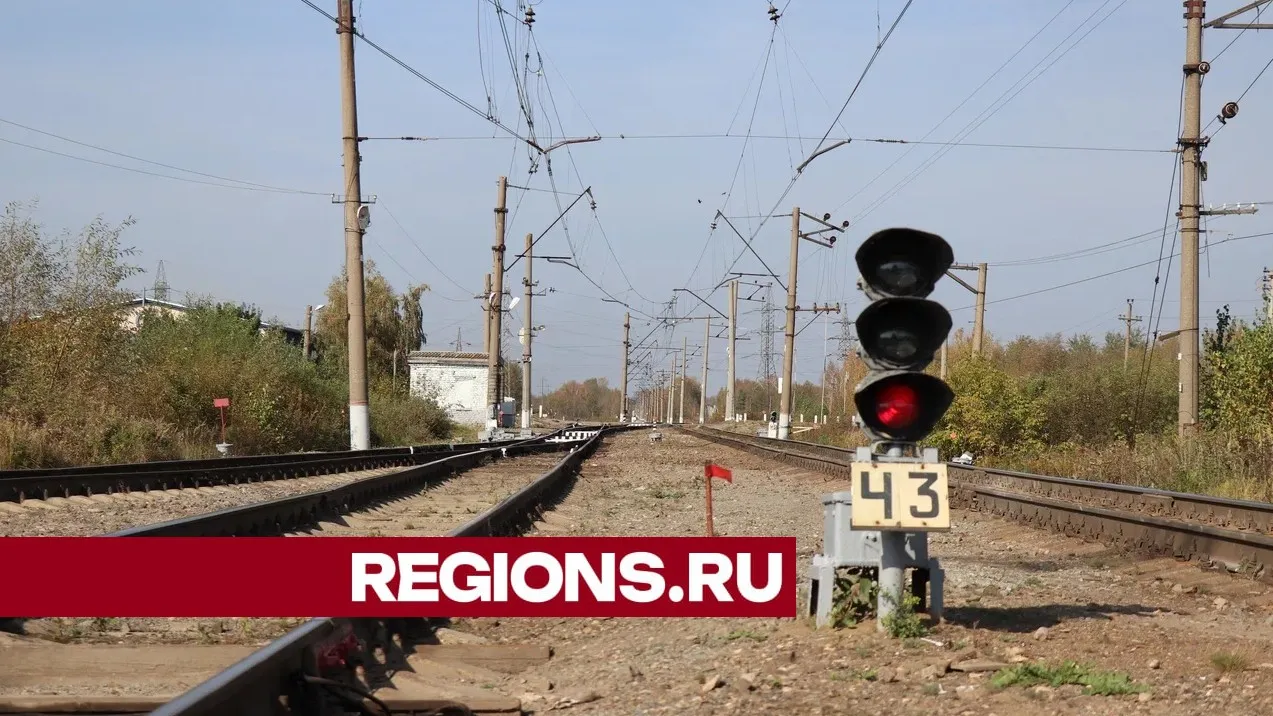 Фото: Василий Тремасов