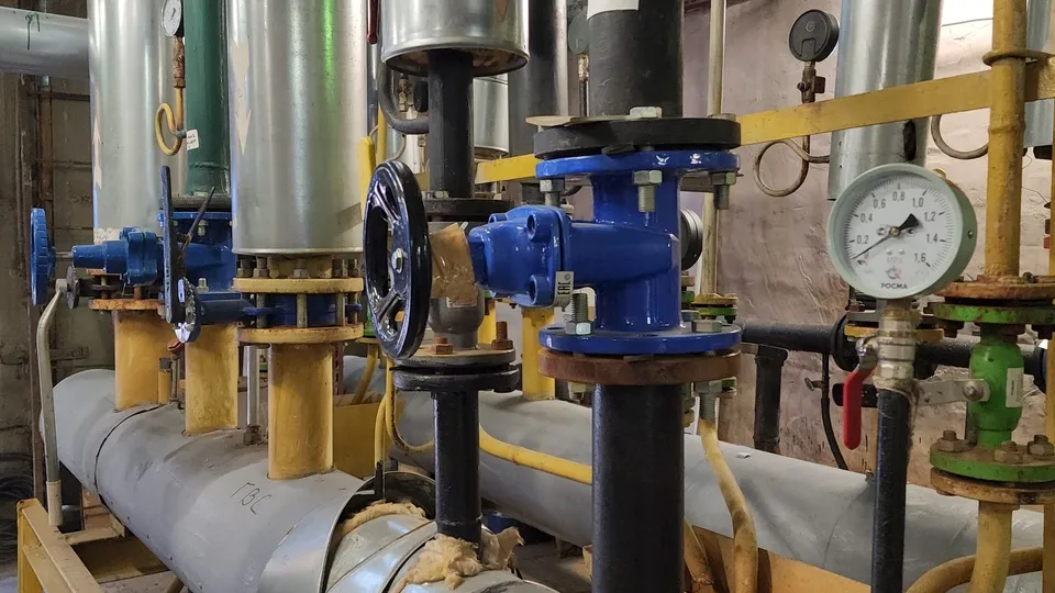 Фото: МедиаБанк Подмосковья/Ольга Фельдфебелева