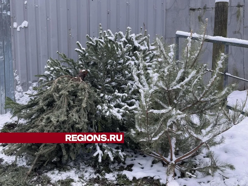 Фото: Мария Шматкова