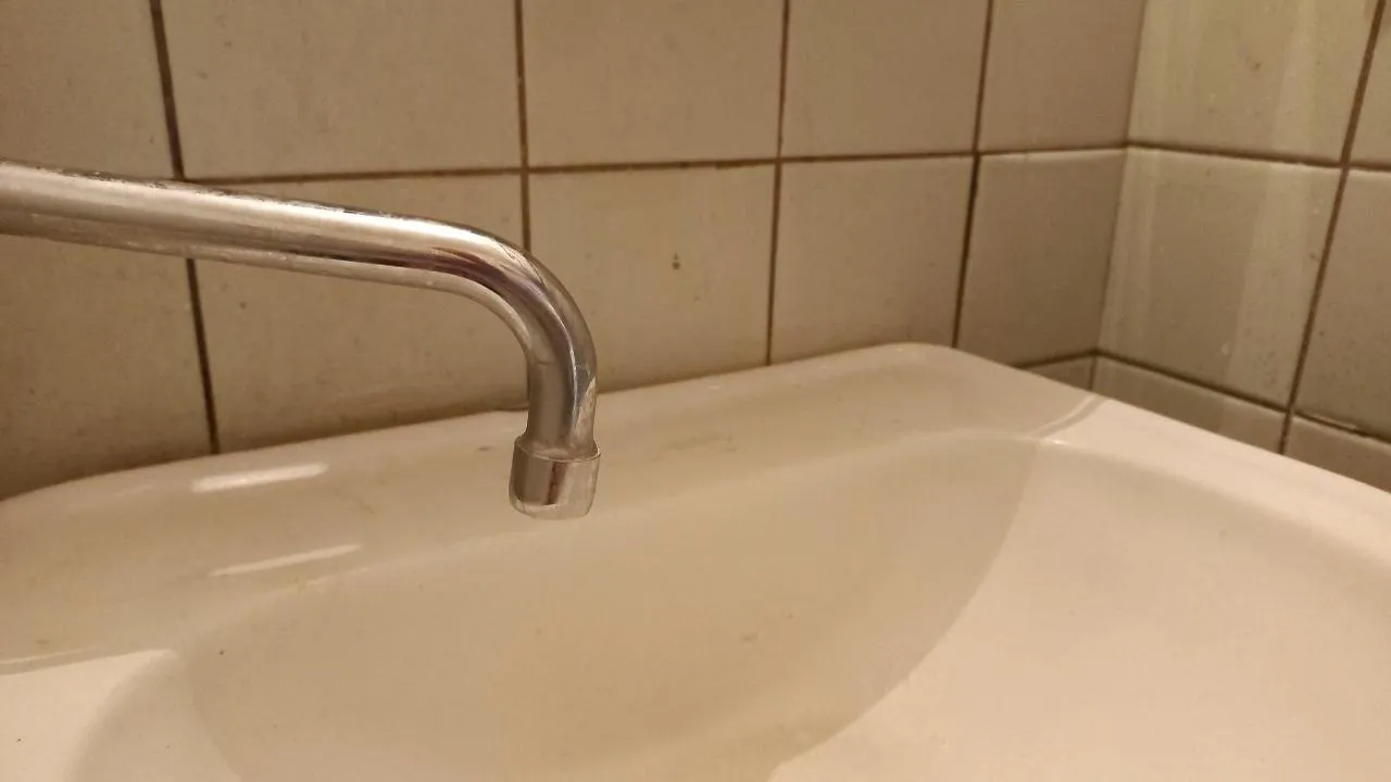 Фото: Олег Книжник