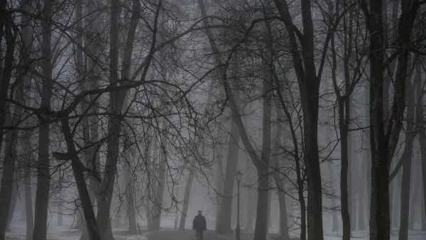 Жителей Московского региона предупредили о тумане 18 января