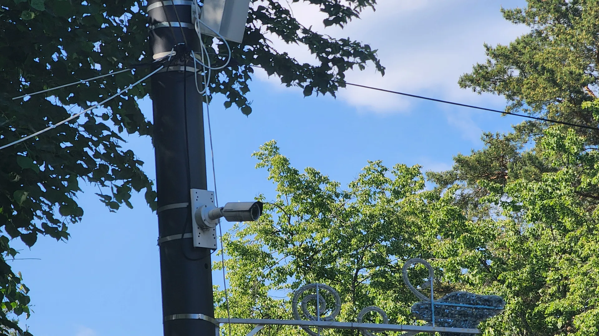 Фото: Арина Кузнецова