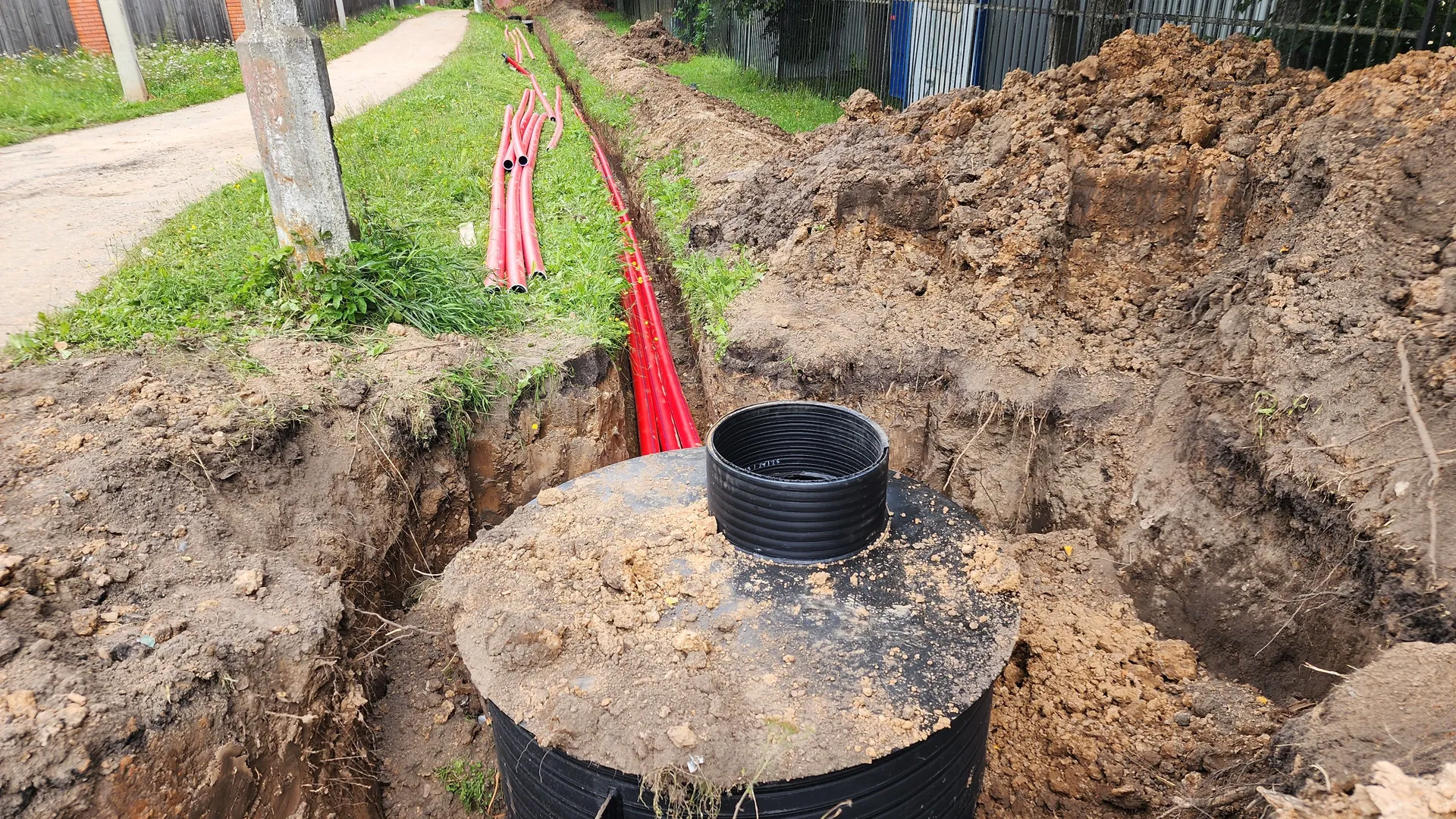 Фото: МедиаБанк Подмосковья/Дмитрий Беденко