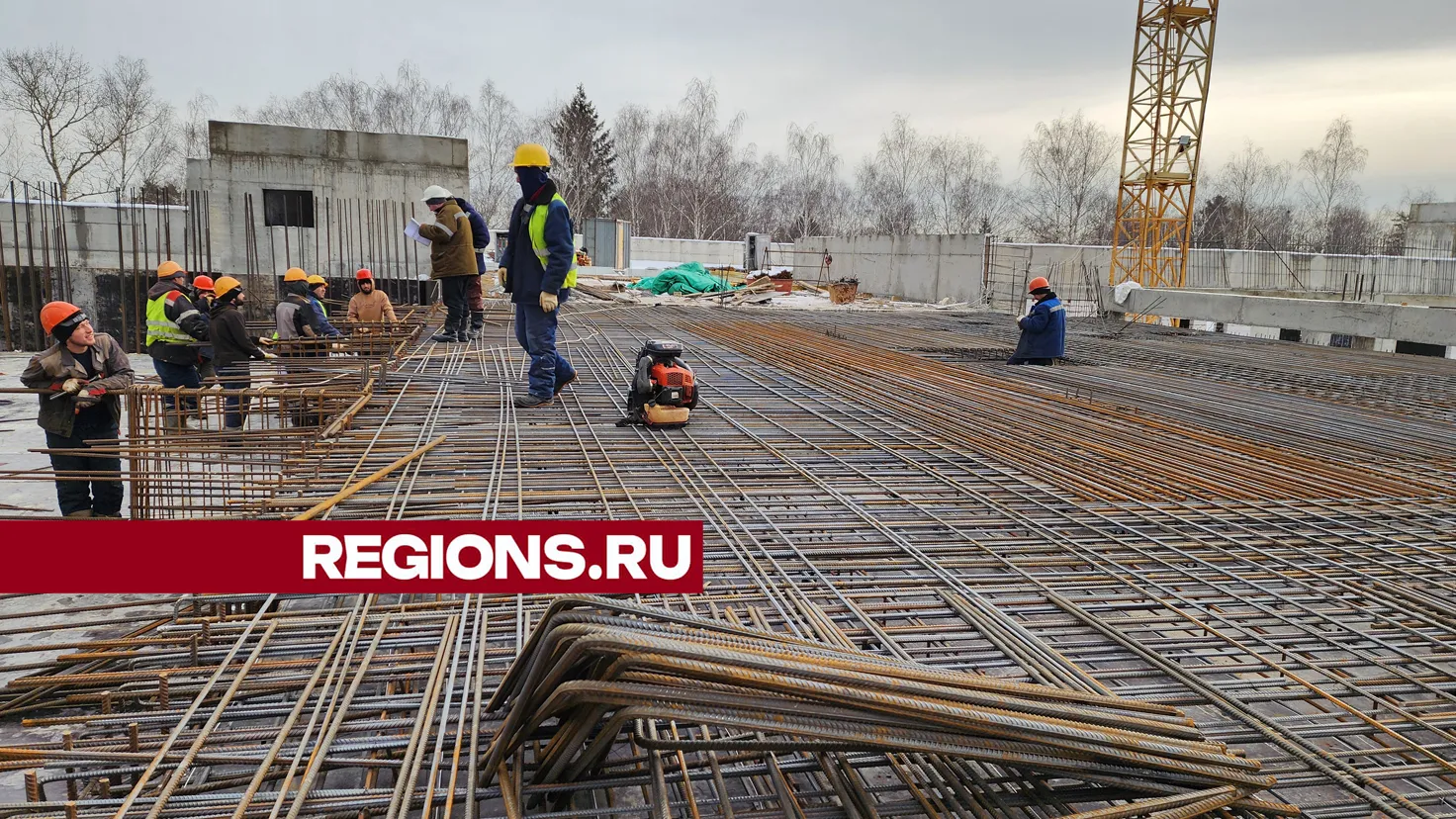 Фото: Ольга Егиян