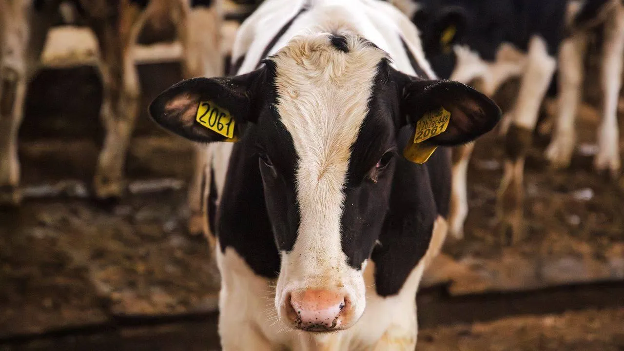 Фото: пресс-служба администрации Наро-Фоминского г.о.