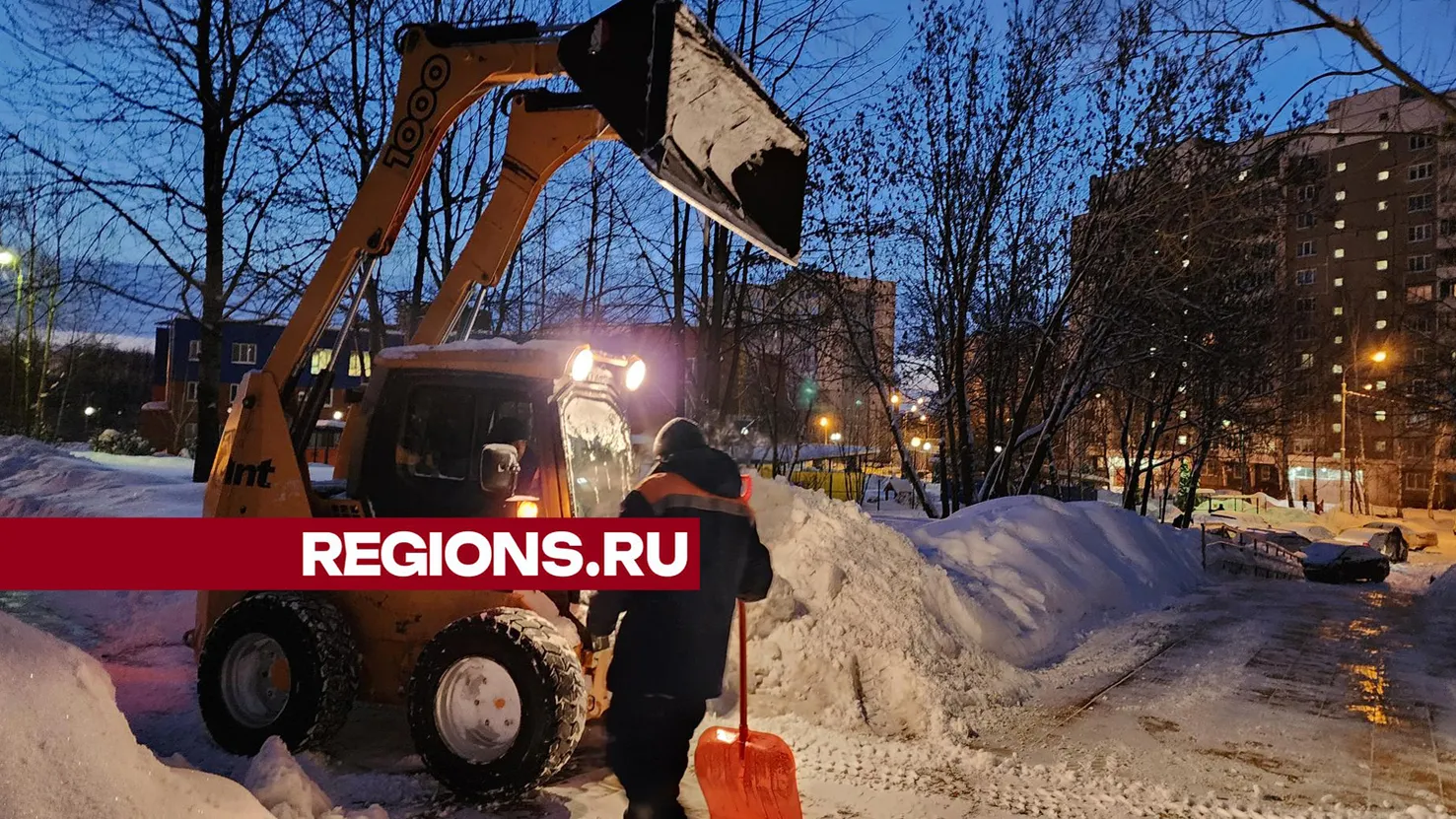 Фото: Ольга Егиян