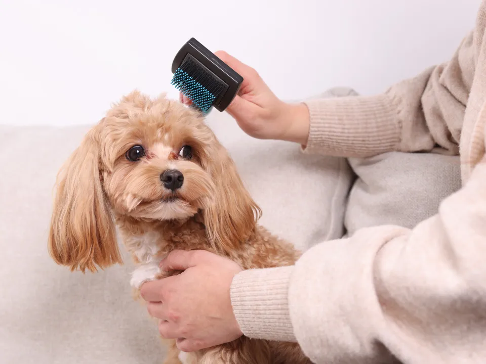 Фото: istockphoto.com/Olga Yastremska&nbsp;