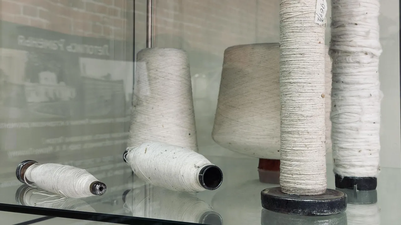 МедиаБанк Подмосковья/Ольга Стаферова