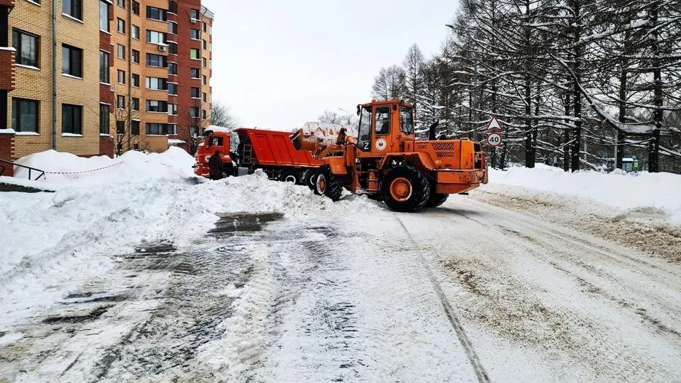 REGIONS/Мария Панина